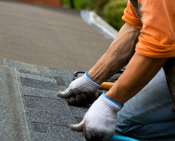 Best Roof Repair Services  in Hackleburg, AL