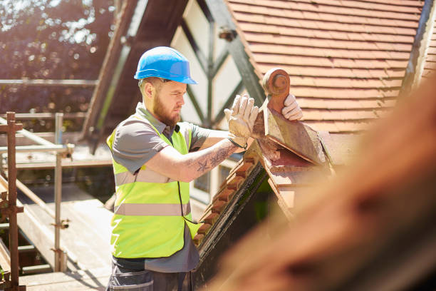 Best Roof Maintenance Services  in Hackleburg, AL