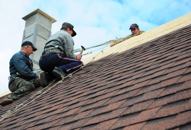 Best Gutter Installation and Roofing  in Hackleburg, AL